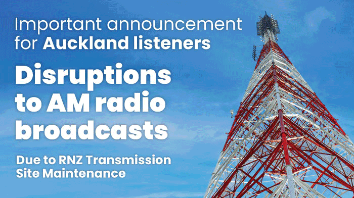 AM Disruption Banner